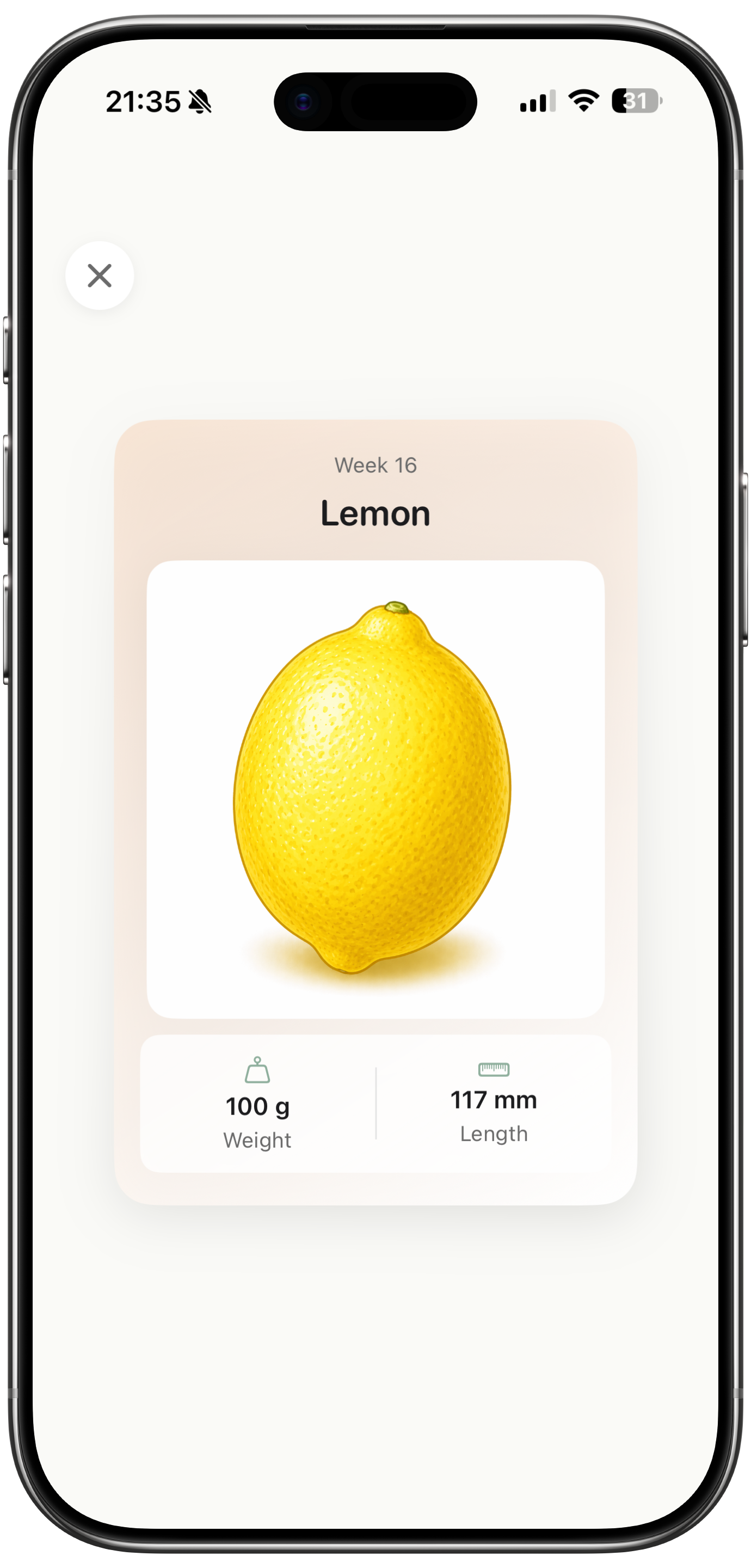Nest Prep features